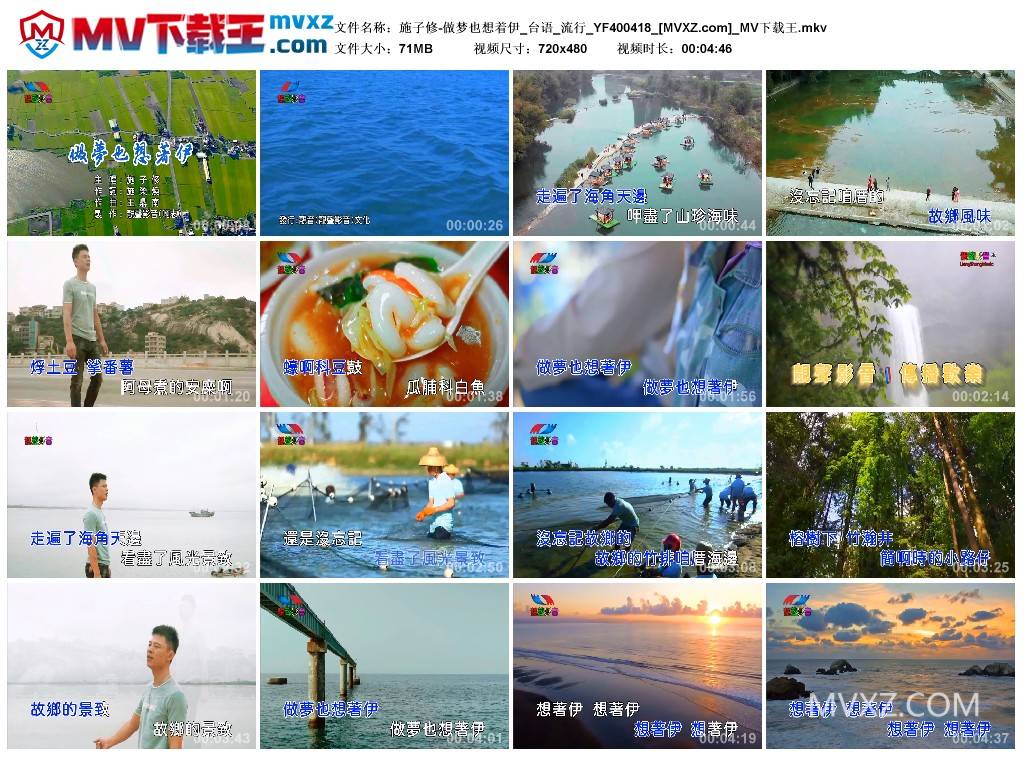 施子修-做梦也想着伊_台语_流行_YF400418